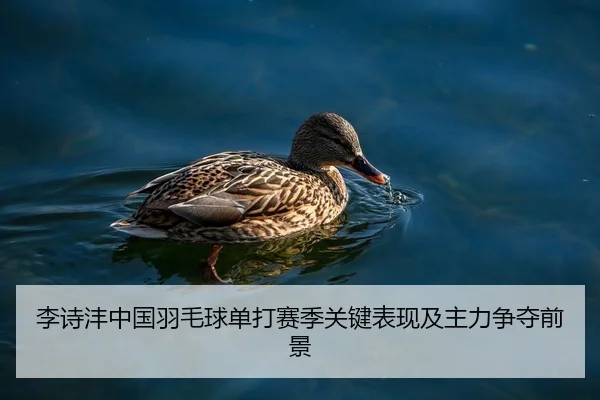 李诗沣中国羽毛球单打赛季关键表现及主力争夺前景